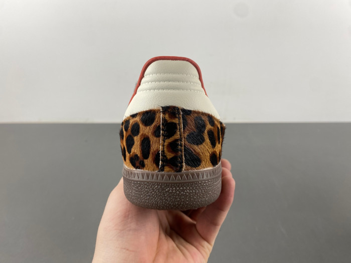Samba OG 