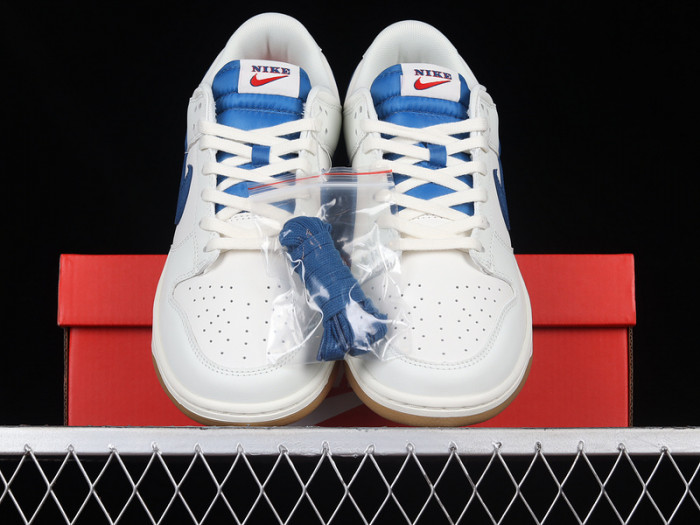 Nike SB Dunk Low DX3198-133