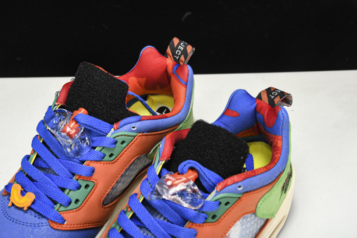 Air Jordan 5 Low "Doernbecher" DR6287-486