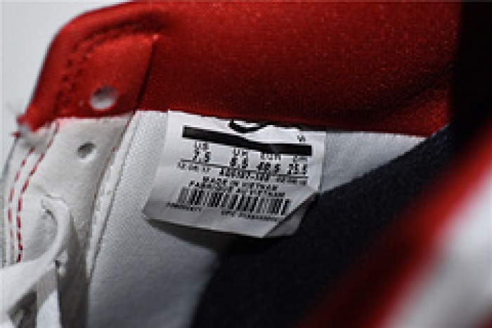 Nike Air Force 1 Low Fo Fi Fo AQ5107-100